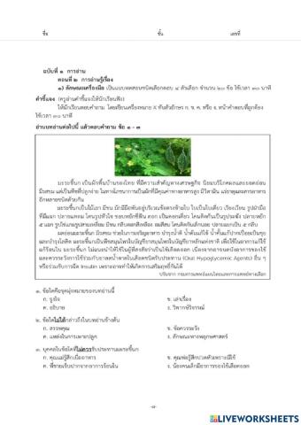 ทดสอบการอ่าน