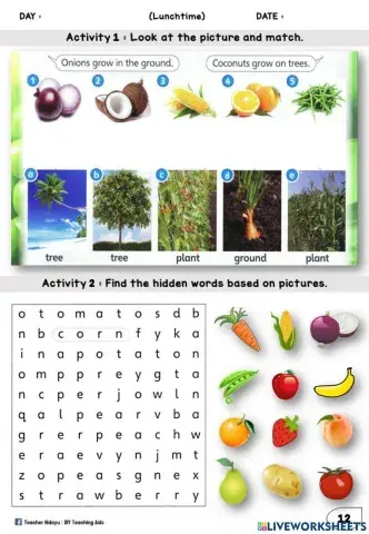 Lunchtime year 1 (Match and Word Search)