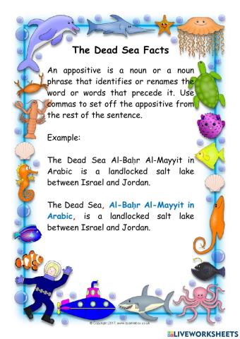 The Dead Sea Facts
