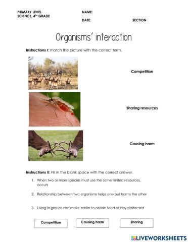 Organisms' interaction