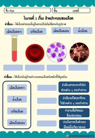ใบงาน ที่ 1 ส่วนประกอบของเลือด