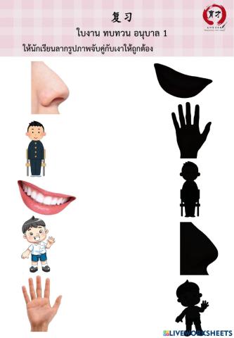 ใบงาน ทบทวน อนุบาล 1