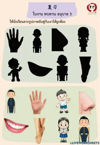 ใบงาน ทบทวน อนุบาล 3