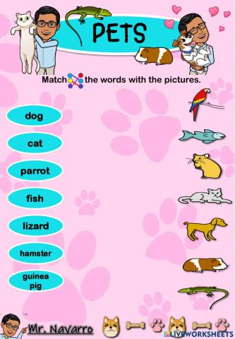 Pets (Match the words with the pictures)