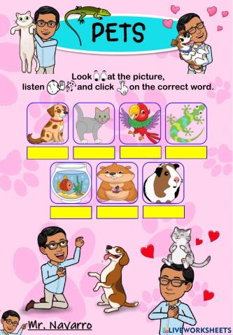 Pets (Look, listen and click)