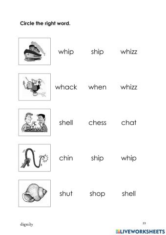 Sh ch wh blue phonic series