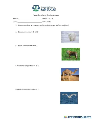 Cuidado del ambiente