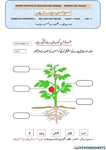 Urdu science live worksheet fa-1