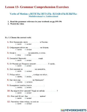 L.13 grammar comprehension