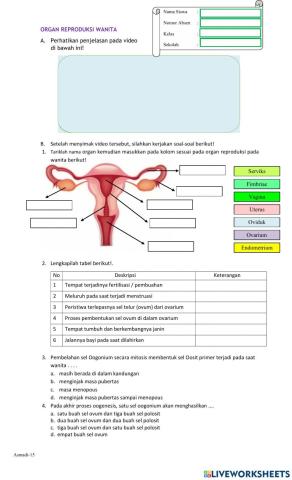 LKPD Organ Reproduksi Wanita