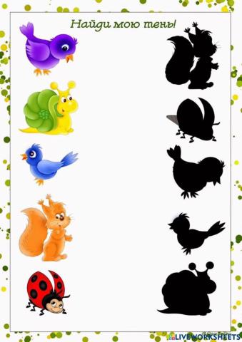 จับคู่กับเงา