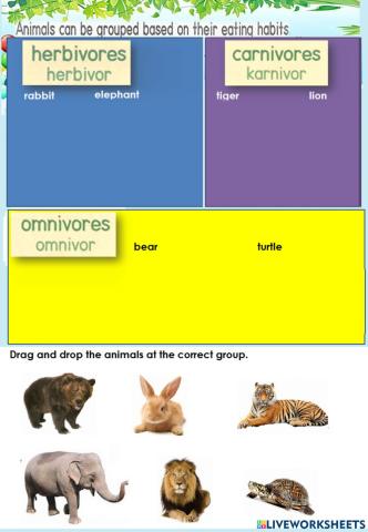 Animals