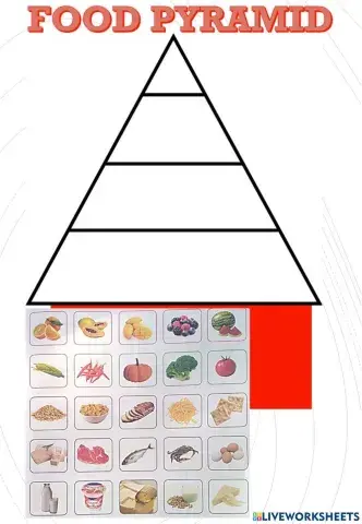 Food pyramid