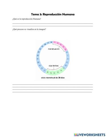 Reproducción Humana