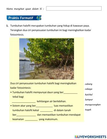 Praktis Formatif 7.1