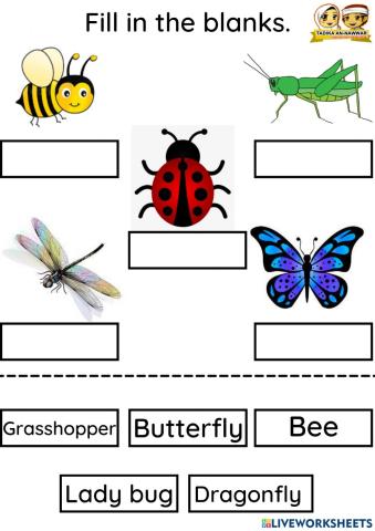 ENG : Insects can fly