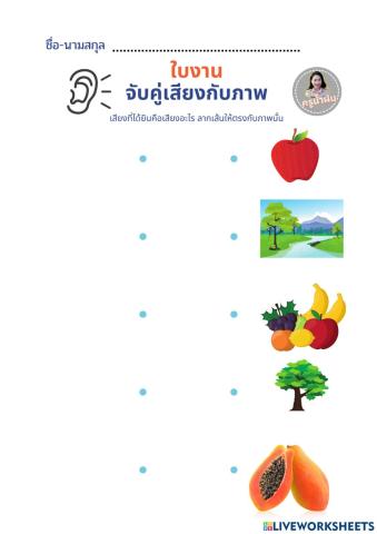 ใบงานภาษาไทย รู้จักคำ