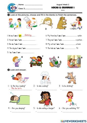 Grade 3 - August Week 2 - Vocab - Grammar 1