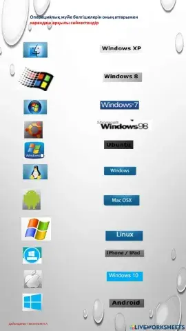 Операциялық жуйе