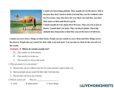 F - Practice - Part 1