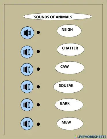Sounds of animals