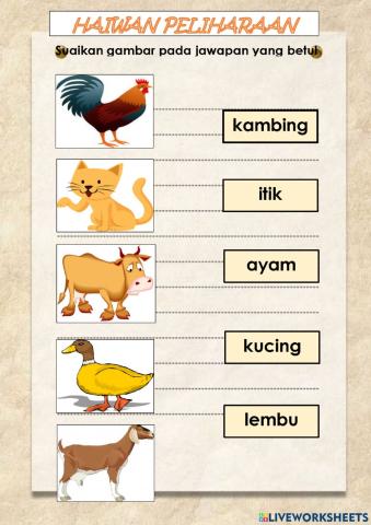 BM 4 - HAIWAN J… | Free Interactive Worksheets | 5105438