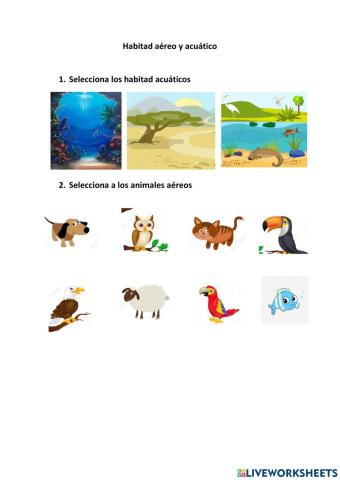 Animales aéreos y acuáticos