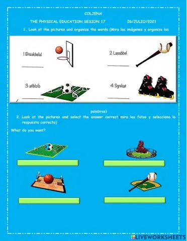 The physical education class