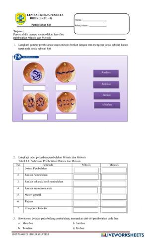 LKPD pembelahan Sel 1