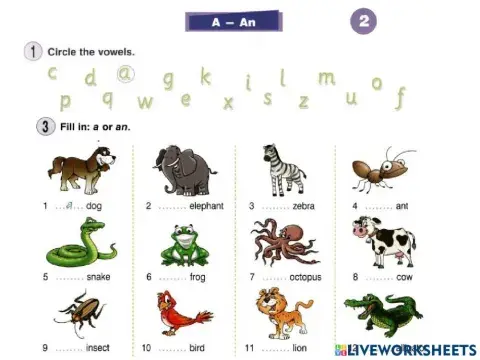 New round up starter - unit 2