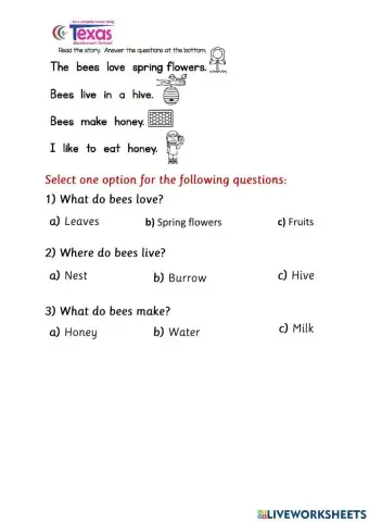 Bees comprehension