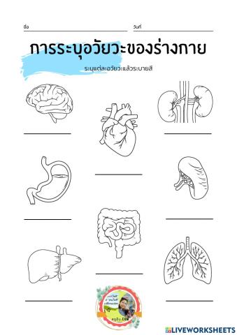 วิทยาศาสตร์