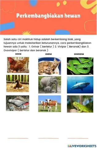 Perkembangbiakan hewan