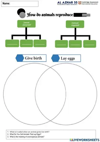 How do living things reproduce