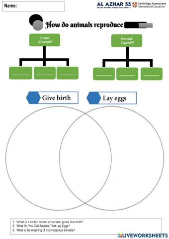 How do living things reproduce