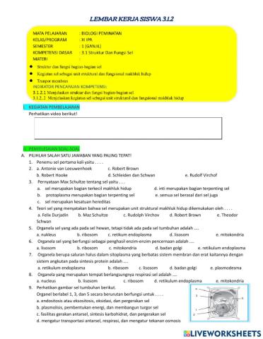 Struktur dan fungsi sel