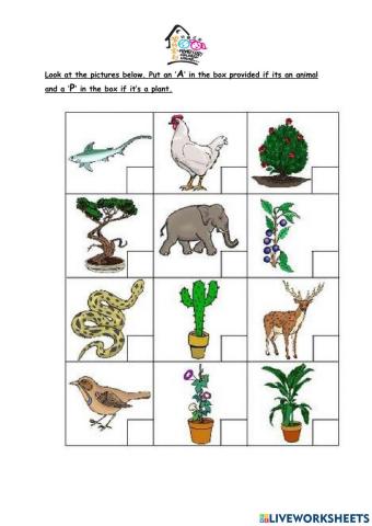 Plant and animal