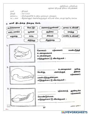 அறிவியல்