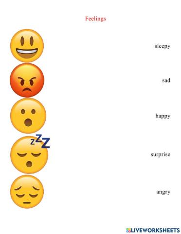 Feelings