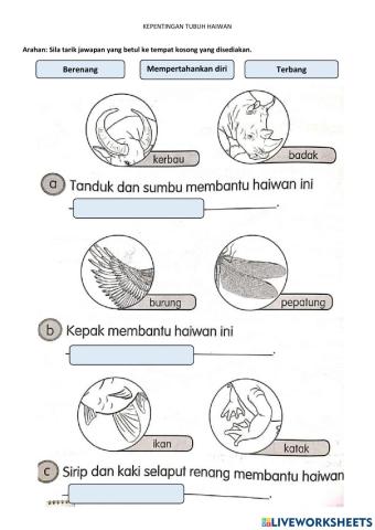 Kepentingan Bahagian Haiwan