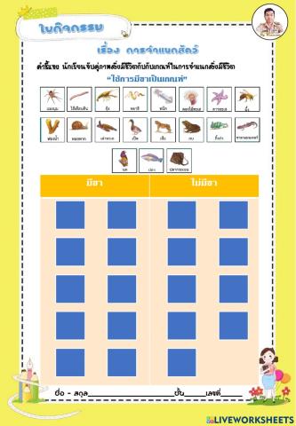 เกณฑ์การจำแนกสัตว์