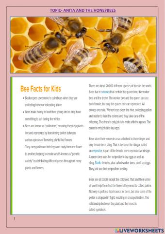 Anita and the honeybees