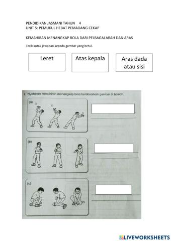 Kemahiran menangkap pelbagai arah dan aras