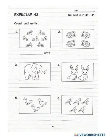 Year 1: Pet Show (Singular and Plural)