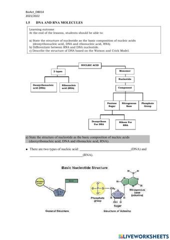 1.5 dna and rna molecules