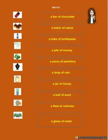 -Collective nouns -  Done by N.Enkhtsetseg