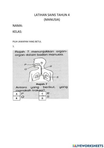 Latihan Sains Tahun 4 - Manusia