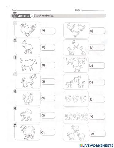 Singular and Plural Nouns