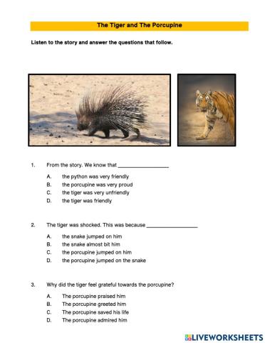 The Tiger and The Porcupine