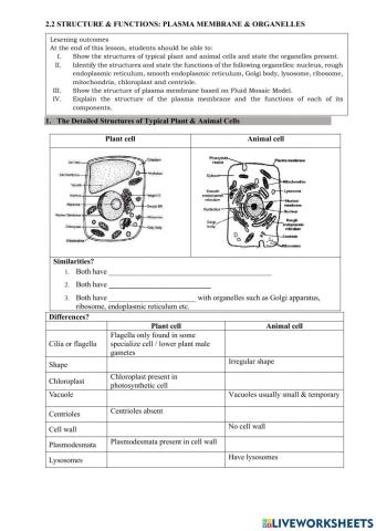 2.2 plasma membrane&organelles
